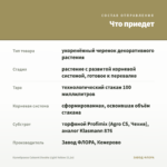 Калибрахоа Cabaret Double Light Yellow (0,1л) — что приедет