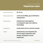 Калибрахоа Cabaret Double Light Yellow (срез/5шт) — параметры сорта