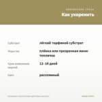 Калибрахоа Cabaret Double Light Yellow (срез/5шт) — как укоренить черенок