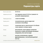 Калибрахоа Cabaret Double Light Yellow (срез/5шт) — параметры сорта