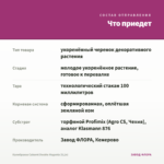 Калибрахоа Cabaret Double Magenta (0,1л) — что приедет
