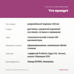 Калибрахоа Cabaret Double Pink (0,1л) — что приедет