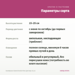 Калибрахоа Cabaret Double Pink Light Impr. (0,1л) — параметры сорта