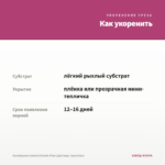 Калибрахоа Cabaret Double Pink Light Impr. (срез/5шт) — как укоренить черенок