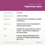 Калибрахоа Cabaret Double Pink (срез/5шт) — параметры сорта