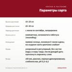 Калибрахоа Cabaret Double Red (0,1л) — параметры сорта