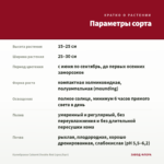 Калибрахоа Cabaret Double Red (срез/5шт) — параметры сорта