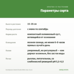 Калибрахоа Cabaret Double White Impr. (0,1л) — параметры сорта