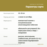 Калибрахоа Cabaret Double Yellow Impr. (0,1л) — параметры сорта