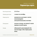 Калибрахоа Cabaret Double Yellow Impr. (срез/5шт) — параметры сорта
