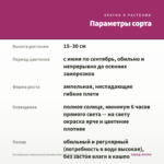 Калибрахоа Cabaret Early Bumble Bee Hot Pink (срез/5шт) — параметры сорта