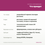 Калибрахоа Cabaret Early Bumble Bee Hot Pink (0,1л) — что приедет