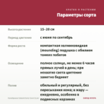 Калибрахоа Cabaret Early Coral (0,1л) — параметры сорта