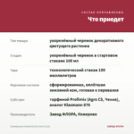 Калибрахоа Cabaret Early Coral (0,1л) — что приедет