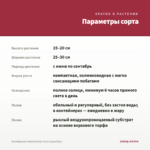 Калибрахоа Cabaret Early Coral (срез/5шт) — параметры сорта