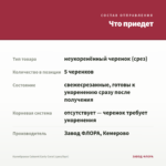 Калибрахоа Cabaret Early Coral (срез/5шт) — что приедет