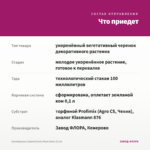 Калибрахоа Cabaret Early Neon Rose (0,1л) — что приедет