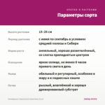 Калибрахоа Cabaret Early Neon Rose (0,1л) — параметры сорта
