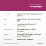 Калибрахоа Cabaret Good Night Kiss (0,1л) — что приедет