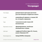 Калибрахоа Cabaret Special Double Purple Bicolour (0,1л) — что приедет