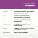 Калибрахоа Cabaret Special Double Purple Bicolour (0,1л) — что приедет