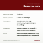 Калибрахоа Cabaret Special Frosty Lemon (0,1л) — параметры сорта