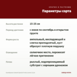 Калибрахоа Cabaret Special Frosty Lemon (0,1л) — параметры сорта