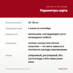 Калибрахоа Cabaret Special Red Kiss (0,1л) — параметры сорта