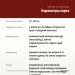Калибрахоа Cabaret Special Red Velvet (0,1л) — параметры сорта