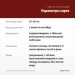 Калибрахоа Cabaret Special Red Velvet (срез/5шт) — параметры сорта