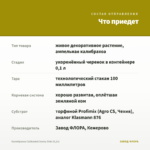 Калибрахоа Calibasket Sunny Side (0,1л) — что приедет