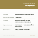 Калибрахоа Caliloco Caramel (срез/5шт) — что приедет