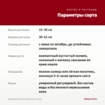 Калибрахоа Caliloco Frankenberry (0,1л) — параметры сорта