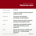 Калибрахоа Caliloco Frankenberry (срезы/5шт) — параметры сорта