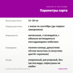 Калибрахоа Caliloco Starfire Fuchsia (0,1л) — параметры сорта