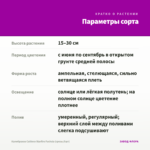 Калибрахоа Caliloco Starfire Fuchsia (срезы/5шт) — параметры сорта