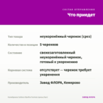 Калибрахоа Caliloco Starfire Fuchsia (срезы/5шт) — что приедет