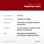 Калибрахоа Caliloco Starfire Orange (0,1л) — параметры сорта