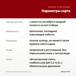 Калибрахоа Caliloco Starfire Orange (0,1л) — параметры сорта