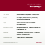 Калибрахоа Caliloco Starfire Rose (0,1л) — что приедет