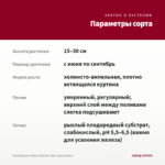 Калибрахоа Caliloco Starfire Rose (срезы/5шт) — параметры сорта