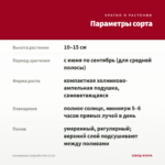 Калибрахоа Calipetite Red (0,1л) — параметры сорта