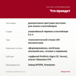 Калибрахоа Calipetite Red (0,1л) — что приедет