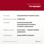 Калибрахоа Calipetite Red (срезы/5шт) — что приедет