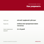 Калибрахоа Calipetite Red (срезы/5шт) — как укоренить черенок