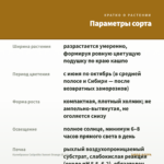 Калибрахоа Calipetite Sunset Orange (0,1л) — параметры сорта