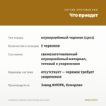 Калибрахоа Calipetite Sunset Orange (срезы/5шт) — что приедет