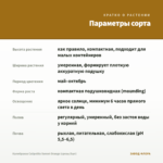Калибрахоа Calipetite Sunset Orange (срезы/5шт) — параметры сорта