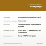 Калибрахоа Calipetite Sunset Orange (срезы/5шт) — что приедет