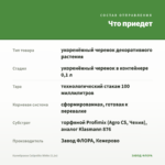 Калибрахоа Calipetite White (0,1л) — что приедет